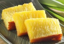 Bika Ambon: Ternyata Bukan dari Ambon? bika ambon