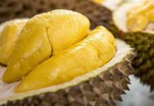 Manis Legit Dimulut, Kenapa Durian Musang King Mahal? durian