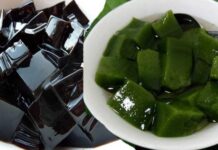 Cincau: Perbedaan Cincau Hitam dan Cincau Hijau cincau