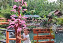 Umbul Tanaka: Tempat Wisata Unik Ala Jepang di Kaki Gunung Kawi umbul tanaka