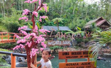 Umbul Tanaka: Tempat Wisata Unik Ala Jepang di Kaki Gunung Kawi umbul tanaka