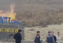 Bukit Teletubbies Bromo Terbakar, Diduga Karena Flare Prewedding bromo