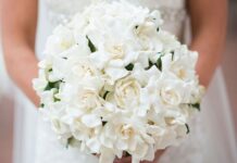 Cocok Untuk Orang Terkasih, Ini Makna Dibalik Putihnya Bunga Gardenia bunga gardenia