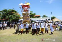 Ngaben Tikus Bali: Tradisi Usir Hama Tikus di Bali