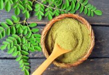 5 Manfaat Daun Kelor Untuk Kesehatan