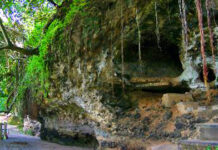 Goa Kreo: Kisah Sunan Kalijaga dan Kera Ekor Panjang goa reo