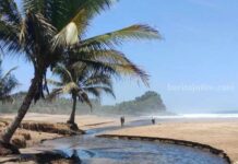 Pantai Wonogoro Malang: Keindahan Pantai Selatan Jawa Timur pantai wonogoro