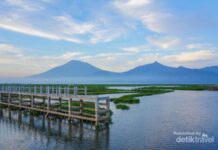 Rawa Pening: Danau Alami di Semarang yang Dijaga Oleh Naga rawa pening