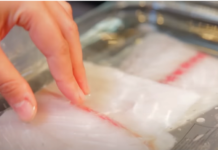 Cara Mencairkan Ikan yang Aman dan Mudah ikan