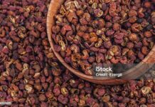 Mengenal Lada Sichuan, Favorit Para Pecinta Pedas sichuan