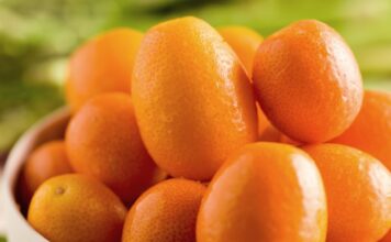 Mengenal Jeruk Kimkit yang Kulitnya Bisa Dimakan jeruk kimkit