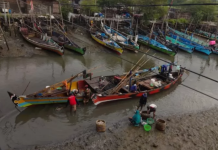 Viral HGB Laut Sidoarjo, Ini Kata Wali Kota Surabaya