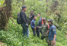 Seluas 1 Hektar, 59 titik ladang Ganja di Area TNBTS Jadi sorotan