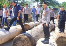 4.800 Kubik Kayu Gelondongan Terdampar, Ditemukan Label Barcode Kemenhut