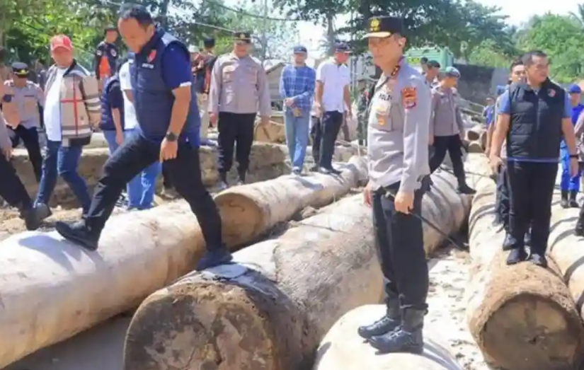 4.800 Kubik Kayu Gelondongan Terdampar, Ditemukan Label Barcode Kemenhut