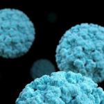 Virus Mematikan, Hantavirus Mulai Terdeteksi di Israel