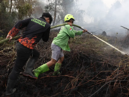 Titik Api Karhutla Kalimantan Akhirnya Berkurang Home