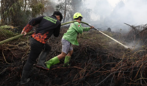 Titik Api Karhutla Kalimantan Akhirnya Berkurang Titik Api Karhutla Kalimantan Akhirnya Berkurang