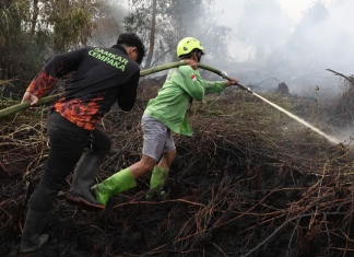 Titik Api Karhutla Kalimantan Akhirnya Berkurang Home