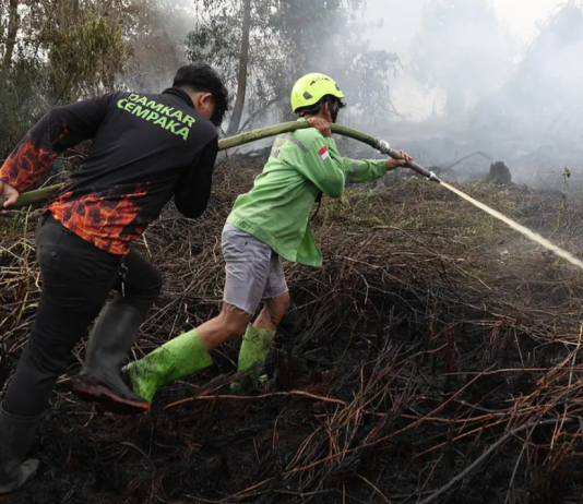 Titik Api Karhutla Kalimantan Akhirnya Berkurang Home